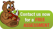 Get your Free Assessment